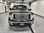 2010 Ford F-150 XLT